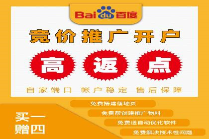 百度推广平台：从传统到数字营销的转型案例